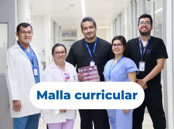 malla curricular